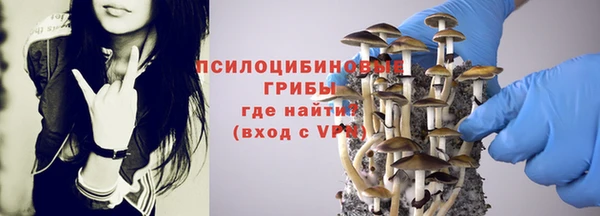 МДПВ Надым