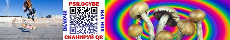 купить закладку  Анива  Псилоцибиновые грибы ЛСД 